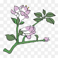 开紫花的数枝