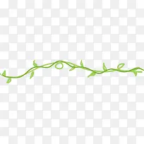 绿色春季藤蔓植物