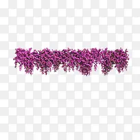 一排紫色花草垂吊植物