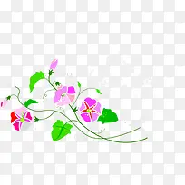 卡通手绘牵牛花