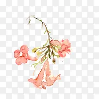 粉色铃兰花