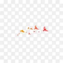 一群飞翔的鸟
