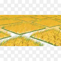 唯美清新金黄色芒种小麦手绘插画