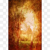 秋天金黄树林背景