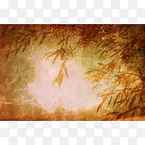 秋天的竹林