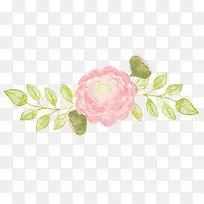 水彩粉色花朵简图