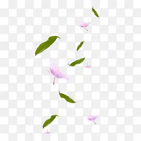花瓣绿叶 散落png素材
