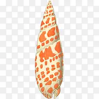 多样的手绘海螺壳-8