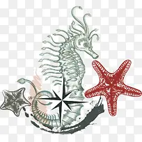 海洋生物海星海马