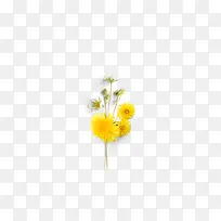 手绘树叶鲜花