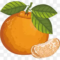 矢量图水彩橙色橘子