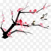 梅花素材