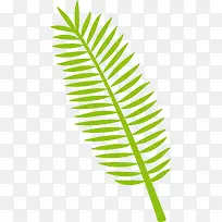 热带绿色植物棕榈叶素材