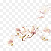 粉白色手绘花朵