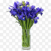 玻璃花瓶 里的紫色花朵