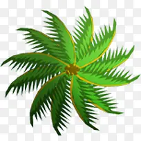手绘绿色风车状植物