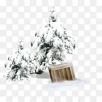 冬季松树木箱
