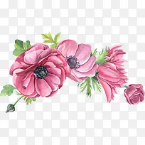 手绘粉色小清新花朵边框