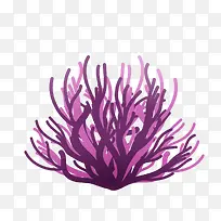 海洋植物紫色珊瑚