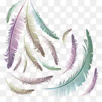 渐变色精美羽毛