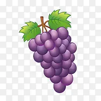 卡通紫色的葡萄PNG