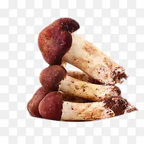 越南红头菇