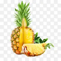 菠萝的图片