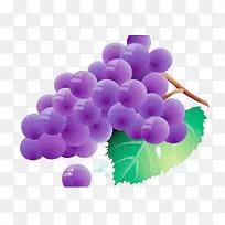 紫色水晶葡萄