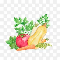 手绘蔬菜