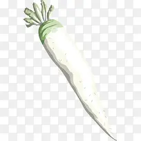 卡通简单萝卜叶蔬菜