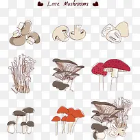 矢量手绘蘑菇