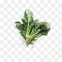 绿色菠菜