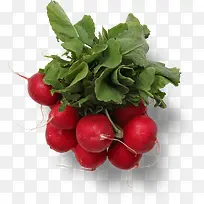 新鲜蔬菜小红萝卜