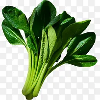 创意合成绿色的蔬菜菠菜