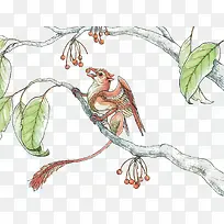 矢量龙吃果子