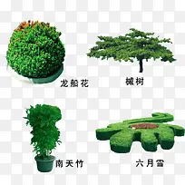园林绿植园艺素材