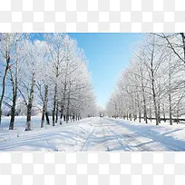 高清摄影合成效果白色的雪地森林