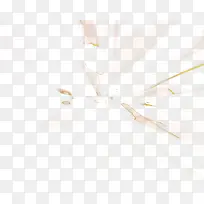 科技背景装饰光影变幻