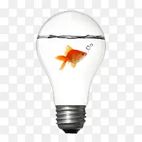 创意电器金鱼在灯泡里面游泳装饰