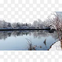 北京植物园雪景二