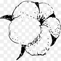 黑白色棉花