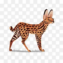 矢量豹猫