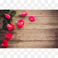 木板上的玫瑰花