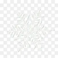 透明白色晶莹的雪花