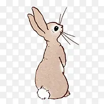 插画手绘兔子猫