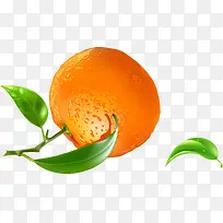 新鲜橘子水果png图