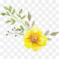 手绘水彩黄色小花