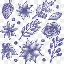 素描手绘冬季花草