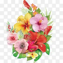 免抠手绘装饰鲜花素材