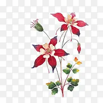 五瓣鲜花朵图片素材